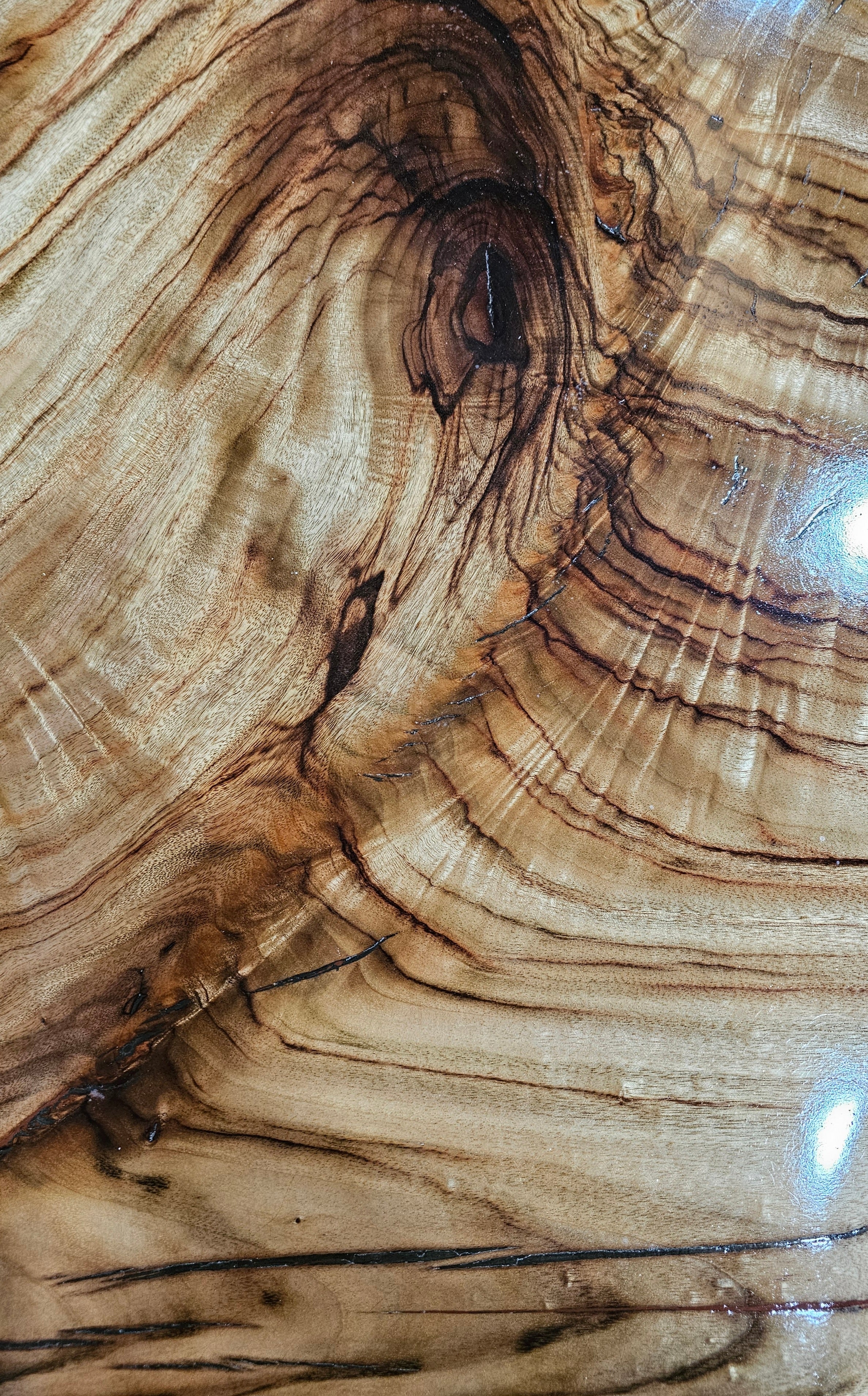 Handcrafted Camphor Laurel Live Edge Resin Coffee Table — Black Steel Base